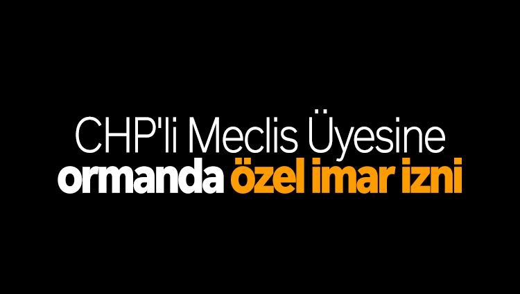 Sesli Makale Haber Bodrum Da Chp Li Meclis Yesi Zden E Ormanda