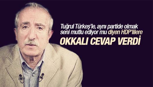Orhan Miroğlu : Tuğrul Türkeş’le aynı partide... 