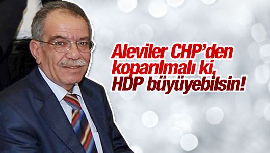 Hasan Karakaya : Aleviler CHP’den koparılmalı ki, HDP büyüyebilsin!