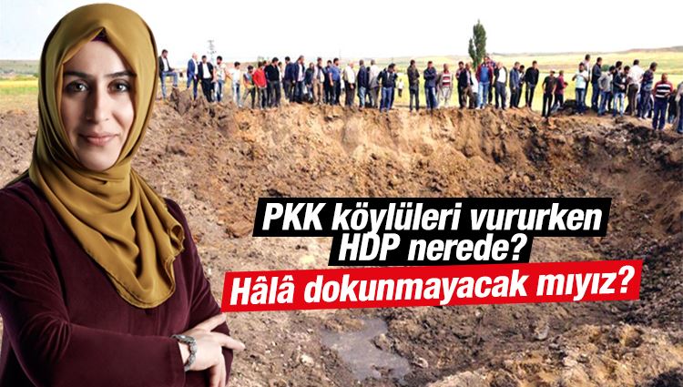 Cemile Bayraktar : PKK köylüleri vururken HDP nerede? Hâlâ dokunmayacak mıyız?