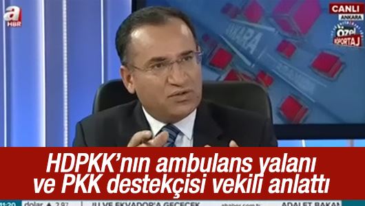 Bozdağ teröristlere yardım eden o HDP'li vekili açıkladı 