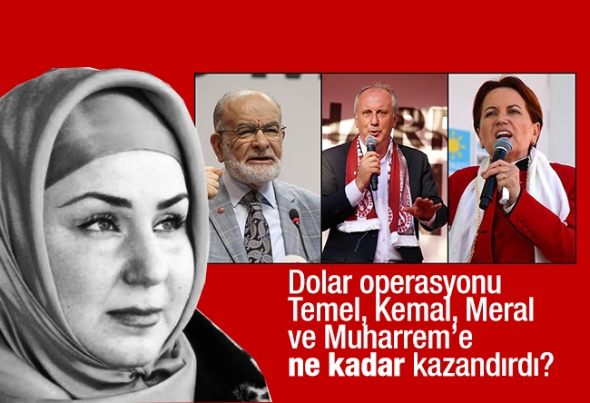 Mehtap Yılmaz : Dolar operasyonu Temel, Kemal, Meral ve Muharrem’e ne kadar kazandırdı?