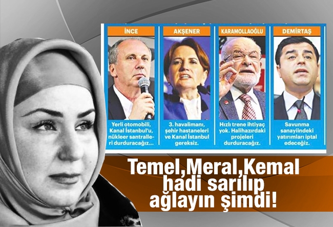Mehtap Yılmaz : Temel Karamollaoğlu, Meral, Kemal hadi sarılıp ağlayın şimdi!