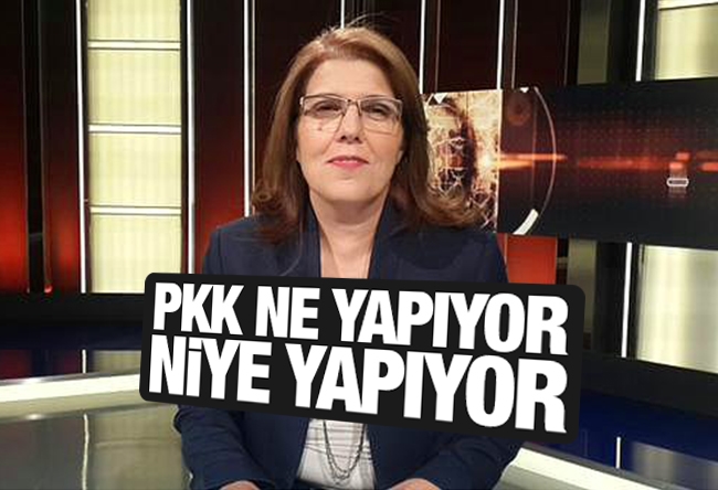 Serpil Çevikcan : PKK ne yapıyor, niye yapıyor?